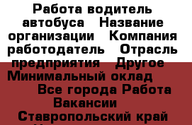 Работа водитель автобуса › Название организации ­ Компания-работодатель › Отрасль предприятия ­ Другое › Минимальный оклад ­ 45 000 - Все города Работа » Вакансии   . Ставропольский край,Невинномысск г.